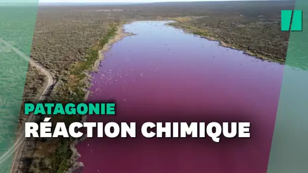 En Patagonie, une lagune change de couleur après un déversement de déchets