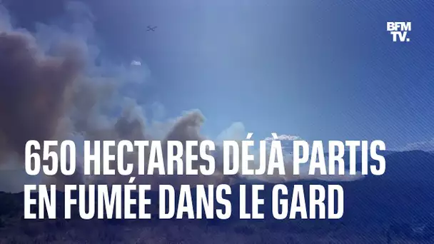 Dans le Gard, un incendie a déjà ravagé 650 hectares de végétation
