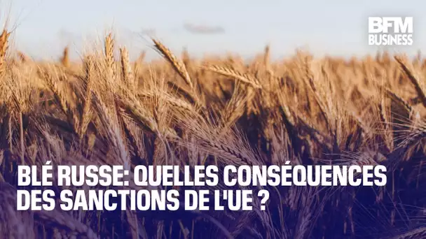Blé russe: quelles conséquences des sanctions de l'UE ?