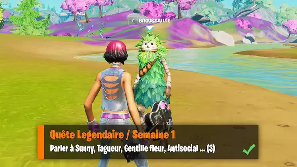 "PARLER À SUNNY, TAGUEUR, GENTILLE FLEUR, ANTISOCIAL" DEFI JONEY" (DEFIS FORTNITE SAISON 7)