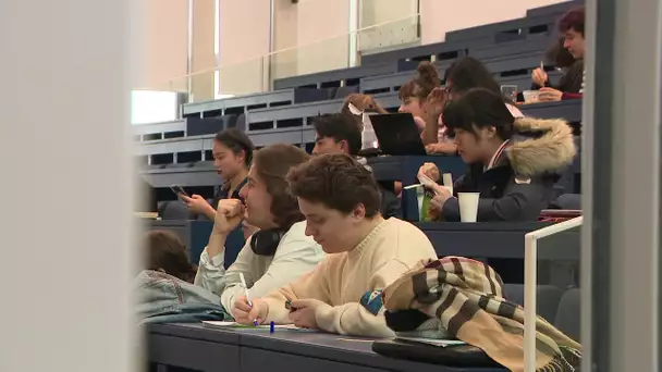 Coronavirus : l'inquiétude des étudiants chinois au Havre
