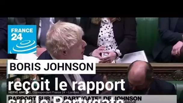 Royaume-Uni : un rapport très attendu sur le "Partygate" remis à Boris Johnson • FRANCE 24