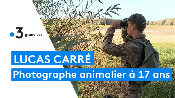 Lucas Carré, 17 ans, un photographe amateur prometteur qui expose au festival de Montier-en-Der