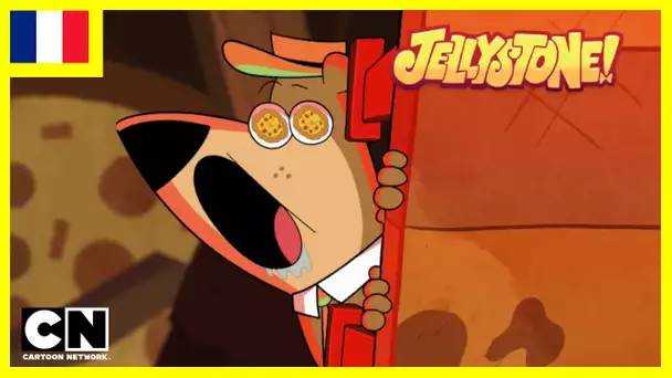 La foire aux fromages de Catanoo 🧀 | Jellystone | Cartoon Network