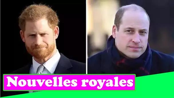 Le prince Harry s'est ouvert sur le fait d'être snobé par William: "Les frères plus âgés pensent qu'