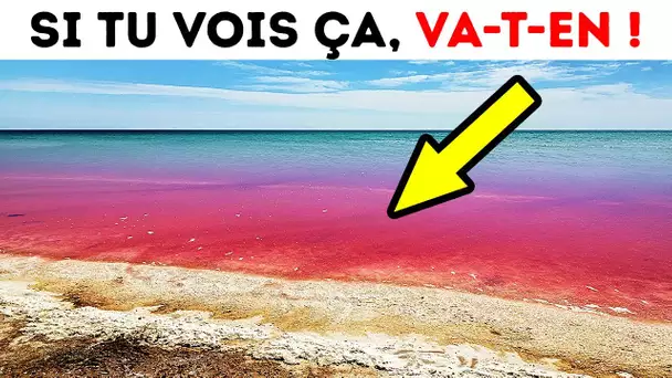 Si Tu Vois Que L’océan Est Rouge, Ne T’en Approche Pas !