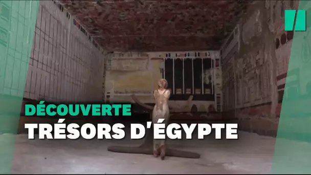 En Egypte, la dévouverte de cinq tombes pharaoniques à Saqqara