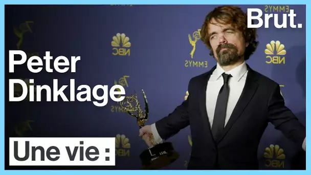 Une vie : Peter Dinklage