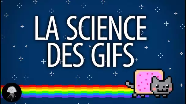 La science des GIFs - DBY #3
