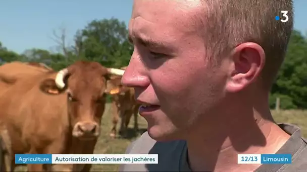 Valorisation des jachères en Corrèze - JT 12/13 France 3 Limousin (21.08.19)