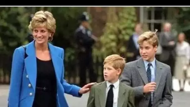 Diana a « désintéressé » abandonné William et Harry à la famille royale, selon des experts
