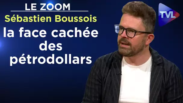 Emirats arabes unis : la face cachée des pétrodollars - Le Zoom - Sébastien Boussois - TVL