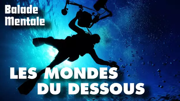 Plonger dans les mondes du dessous