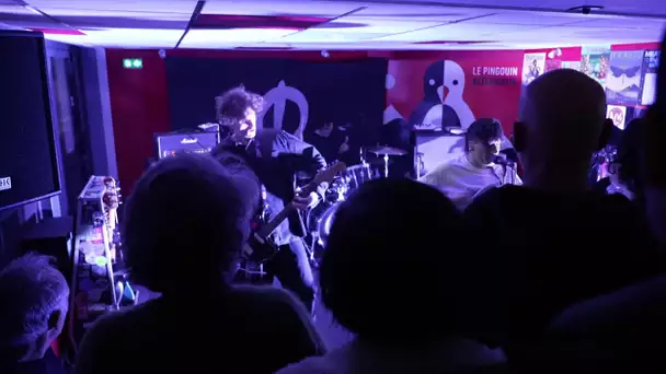 Arthez-de-Béarn : le pingouin alternatif