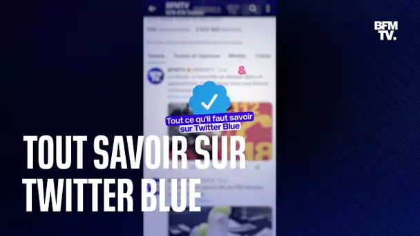 Tout savoir sur Twitter Blue, l'abonnement payant à Twitter qui débarque en France