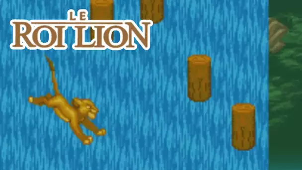 LA CASCADE AUX BÛCHES ! (Le Roi Lion #3)