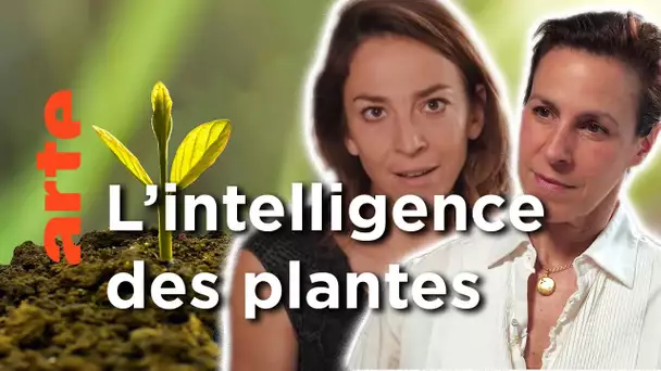 Les plantes sont-elles des animaux comme les autres ? | Les idées larges | ARTE