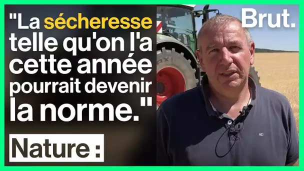 Les agriculteurs et éleveurs face à la sécheresse