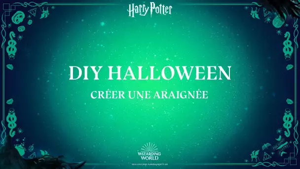 DIY Harry Potter - Halloween - Créer une araignée