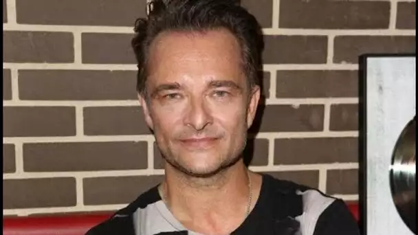 David Hallyday absent à l’hommage national rendu à Johnny : la femme de sa vie a...