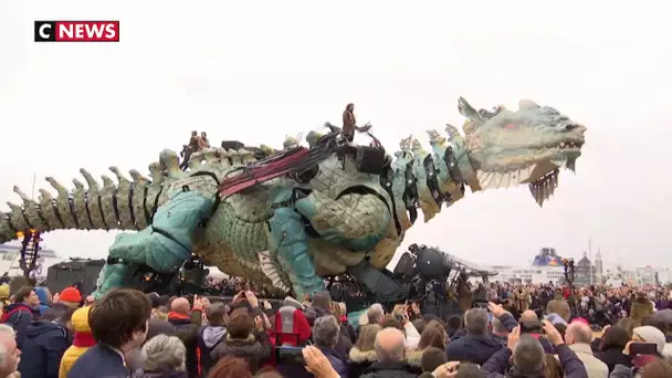 Spectacle : un dragon de 72 tonnes à l'honneur dans les rues de Calais