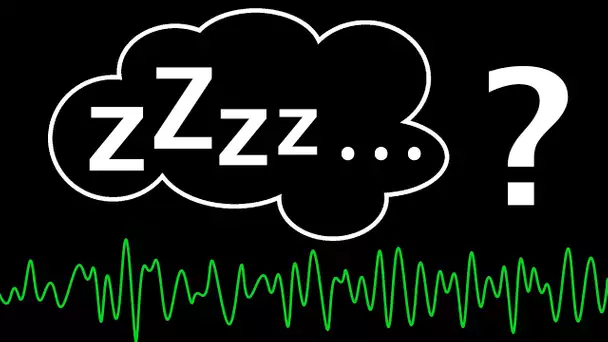 Pourquoi dort-on ? Le mystère scientifique du sommeil