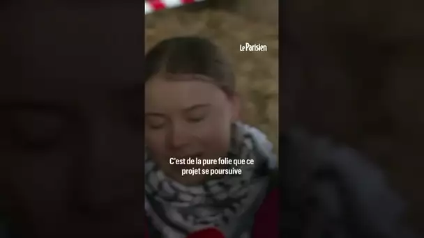 « Cela doit cesser » : Greta Thunberg dans le Tarn pour soutenir les opposants à l’autoroute A69