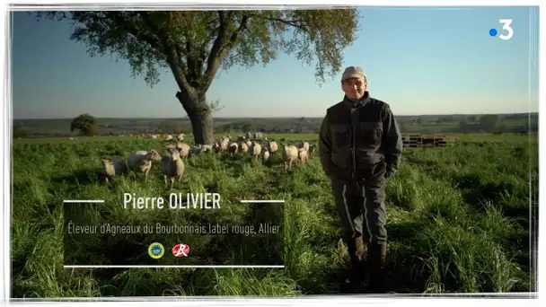 Je tiens à ma terre : Pierre Olivier, éleveur d'agneaux dans l'Allier