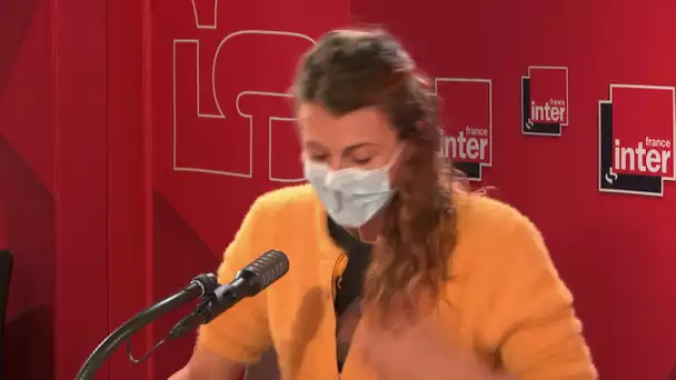 La journée mondiale de l'abeille - Le billet de Nicole Ferroni