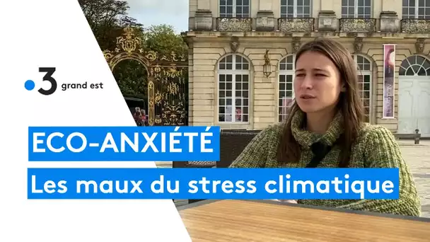 Eco-anxiété : les jeunes ne se projettent plus à cause de la situation climatique