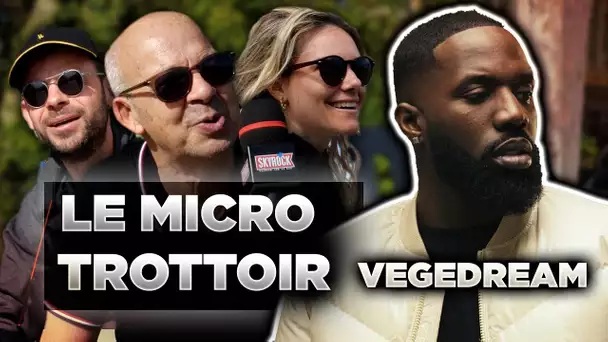 Le Micro-Trottoir de Planète Rap : qu'est ce que les gens pensent de Vegedream ? #PlanèteRap