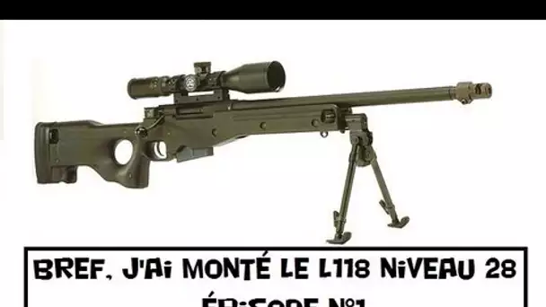 Bref, j'ai monté le L118 niveau 28 avec la TNT~ : NOOB et RAGE