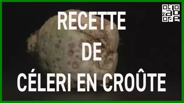 Recette de céleri en croûte à l'orientale. ABE-RTS