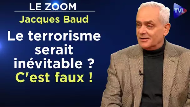 Hamas : terrorisme ou résistance ? - Le Zoom - Jacques Baud - TVL