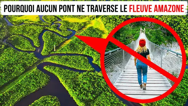 Ce Qui Les Empêche De Construire Des Ponts Sur Le Fleuve Amazone