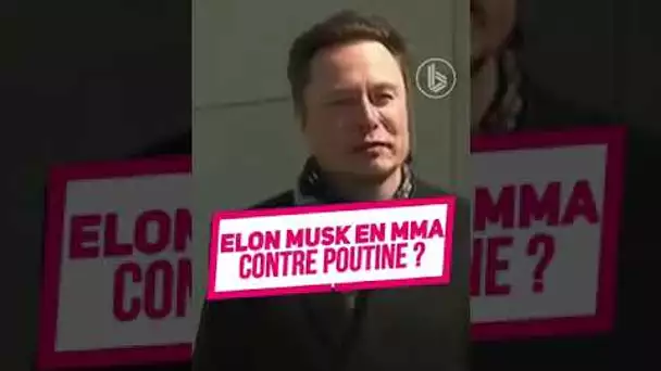 Elon Musk face à Poutine en MMA ?