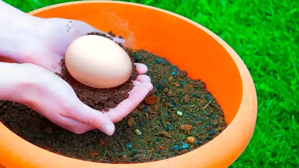 Plante un Œuf Dans Ton Jardin, et Découvre ce Qu’il va se Passer