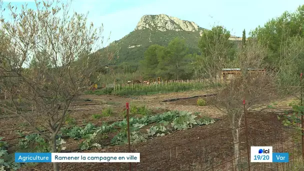 Var La Farlède remet de la campagne en ville