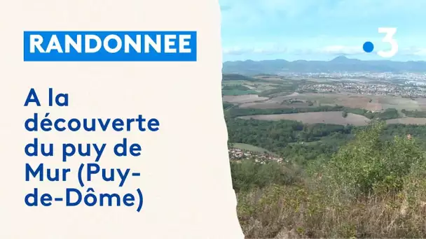 Randonnée : à la découverte du puy de Mur (Puy-de-Dôme)