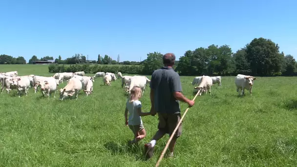 Pays de la Loire : les agriculteurs bio demandent le soutien de l'Etat et de la Région