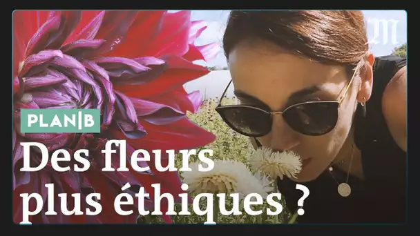 Peut-on produire des fleurs plus écologiques ? #PlanB