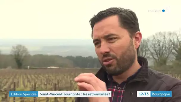 Saint-Vincent Tournante : portraits de trois vignerons soucieux de l'environnement