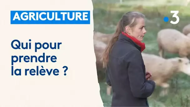 Agriculture : qui pour prendre la relève de ceux qui partent à la retraite ?