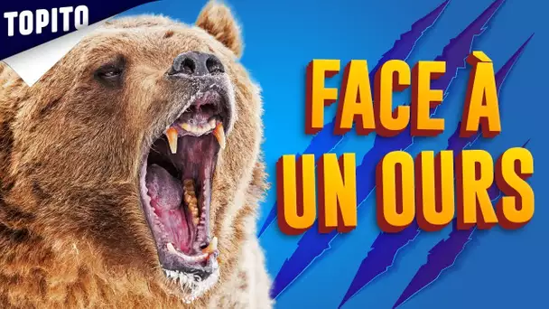 TOP 5 DES CHOSES À FAIRE FACE À UN OURS, genre pour survivre