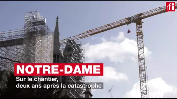 Sur le chantier de Notre-Dame, deux ans après l'incendie