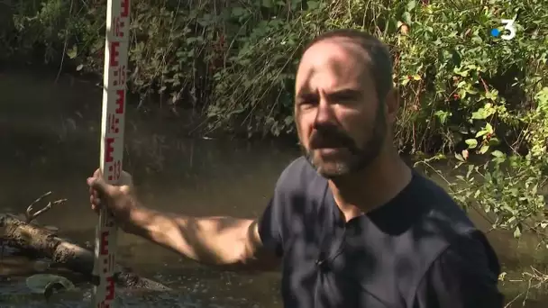 Lure : le fabricant de panneau de bois CF2P à l'origine de la pollution du ruisseau Le Picot