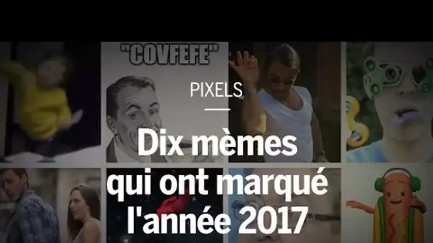 Dix mèmes qui ont marqué l’année 2017