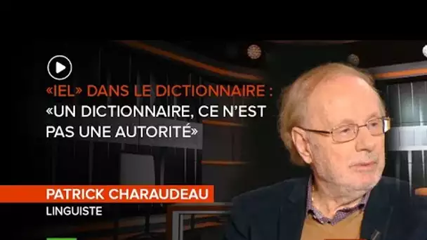 #IDI «iel» dans le dictionnaire:«Un dictionnaire, ce n’est pas une autorité» pour Patrick Charaudeau