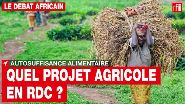 Le débat africain - RDC : autosuffisance alimentaire - quel projet agricole ? • RFI