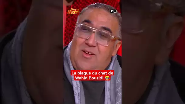 La blague de Wahid Bouzidi dans #LaGrosseRigolade 😂 #wahidbouzidi #darka #shorts #humor